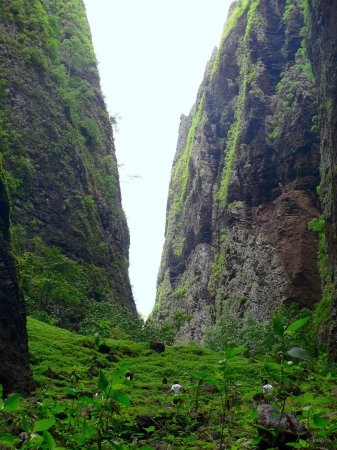 93- Au fond du canyon 